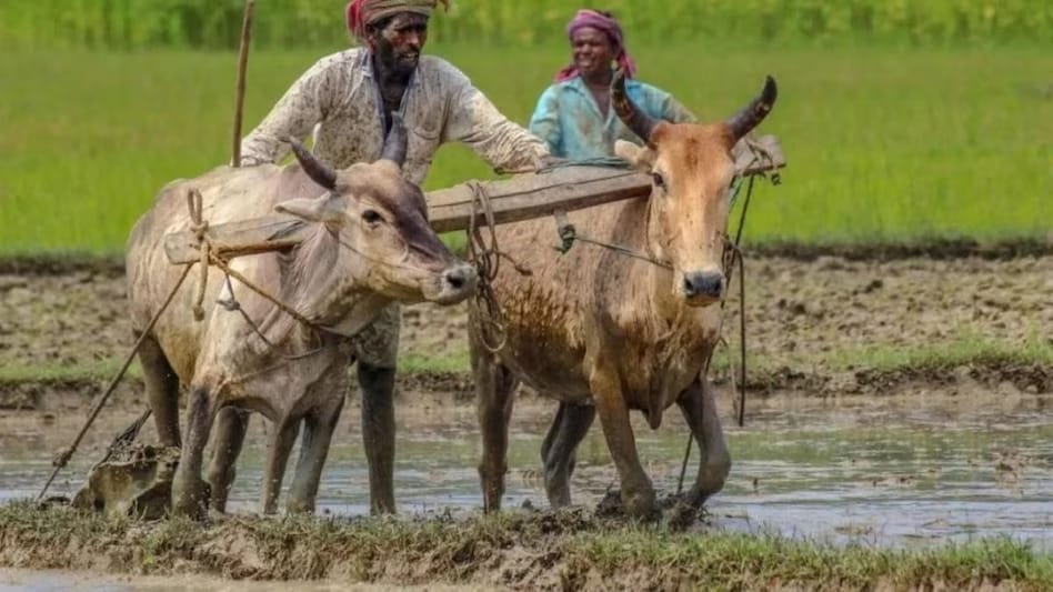 CM पुष्कर सिंह धामी के एक निर्देश पर तुरंत हो गई बुजुर्ग की e-KYC, अब मिलेगा PM Kisan का लाभ CM पुष्कर सिंह धामी के एक निर्देश पर तुरंत हो गई बुजुर्ग की e-KYC, अब मिलेगा PM Kisan का लाभ