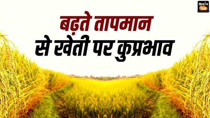 बढ़ते तापमान का खेती पर कुप्रभाव