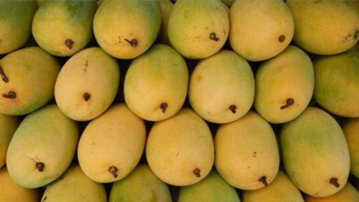 आम की कीमतों में कब शुरू होगी गिरावट. (सांकेतिक फोटो)