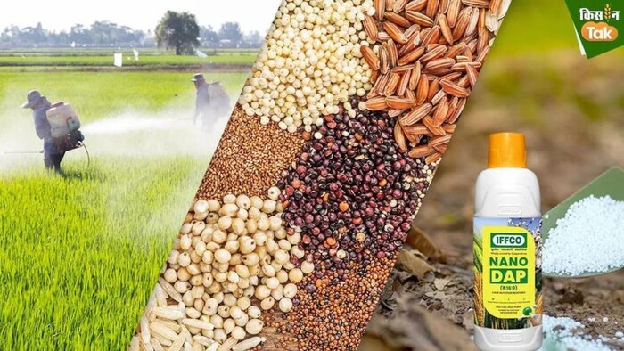 महाराष्ट्र में बीज और खाद की कालाबाजारी. (सांकेतिक फोटो)