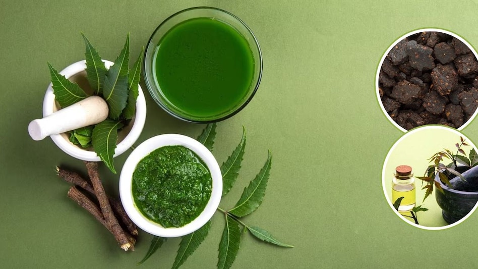 घर पर कैसे बनाएं नीम पत्ती और नीम केक का अर्क, इसके फायदे भी जानिए घर पर कैसे बनाएं नीम पत्ती और नीम केक का अर्क, इसके फायदे भी जानिए