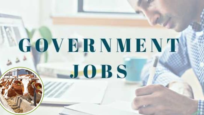 पशुपालन और वेटनरी विभाग में जल्द आएंगी भर्तियां