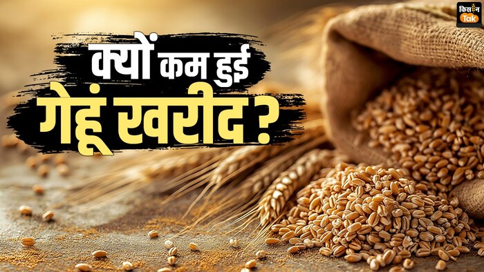 देश में कितनी हुई गेहूं खरीद.