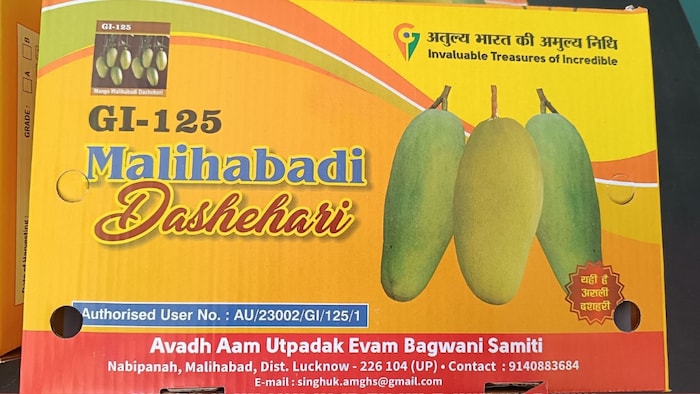 GI Tag125 का यूजर सर्टिफिकेट मिलने के बाद किसानों की आमदनी होगी डबल (Photo-Kisan Tak)