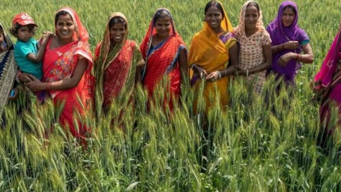 यूपी की कृषि सखियों के लिए खुशखबरी. (फाइल फोटो)