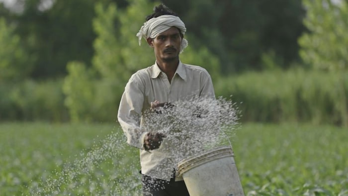 मध्य प्रदेश के किसान (सांकेतिक तस्वीर)