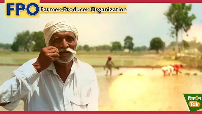 देशभर में 8 हजार से अधिक एफपीओ काम कर रहे हैं.