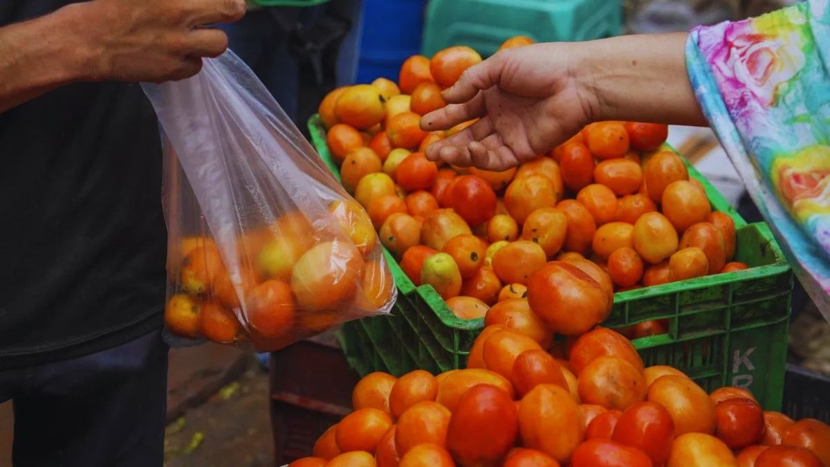 आंध्र प्रदेश में सैकड़ा छू गया टमाटर का भाव, उत्तर भारत में रेट का जान लें हाल
