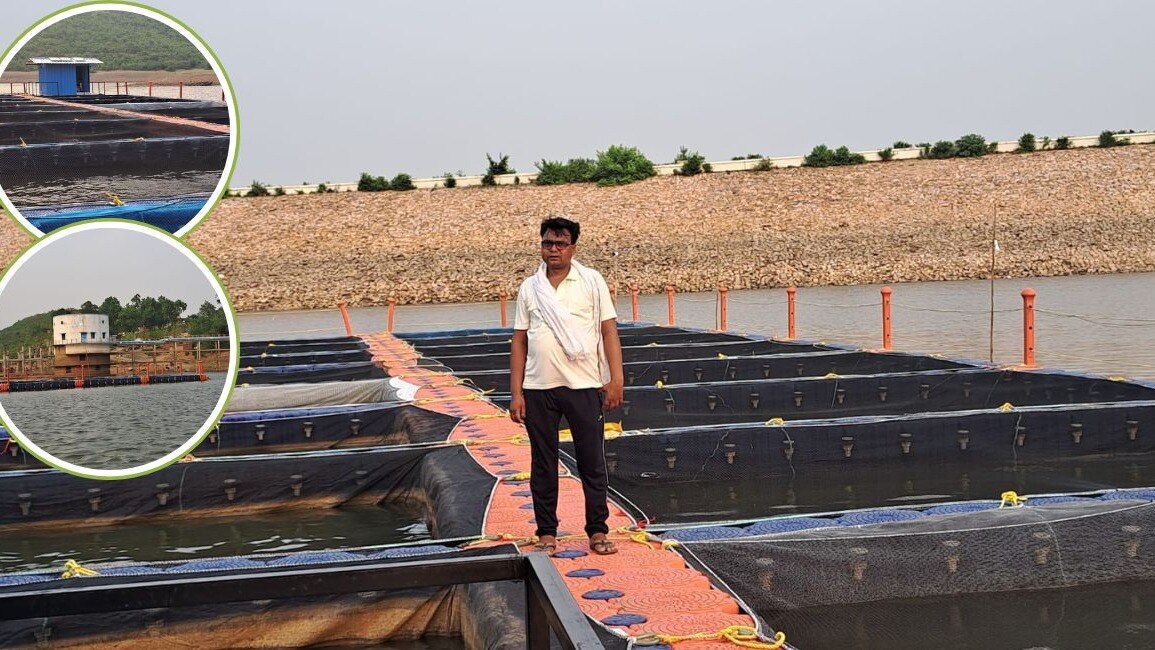 केज कल्चर से इस किसान ने शुरू किया मछलीपालन, कमाई बढ़ाने के लिए लगाई ये नई तकनीक