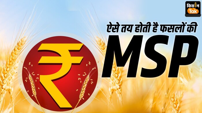 CACP ऐसे तय करता है फसलों की MSP