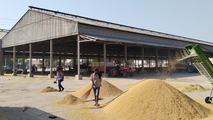 ओडिशा में किसानों को मिलेगी धान की बढ़ी हुई एमएसपी (सांकेतिक तस्वीर)