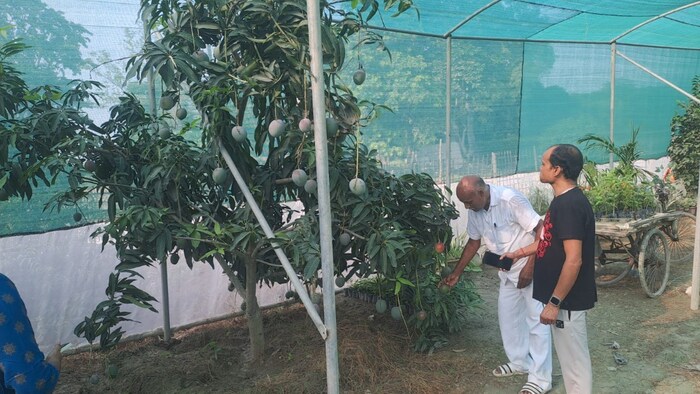 मुजफ्फरपुर के आम किसान