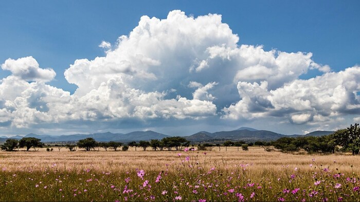 पश्चिमी यूपी और पूर्वी यूपी में आज मौसम शुष्क रहने की संभावना है. (फाइल फोटो)