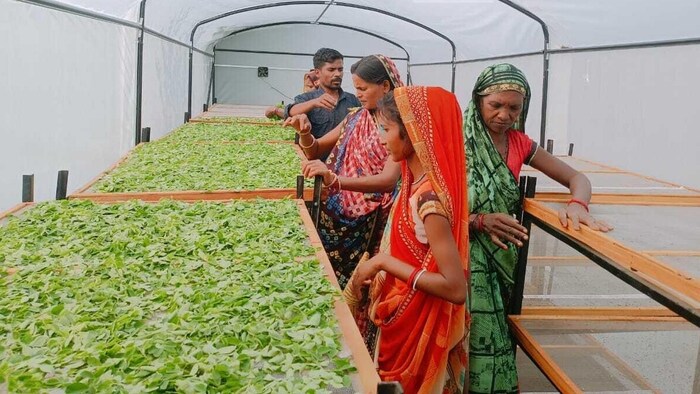 एक इंजीनियर ने निकाला किसानों की इनकम बढ़ाने का तरीका
