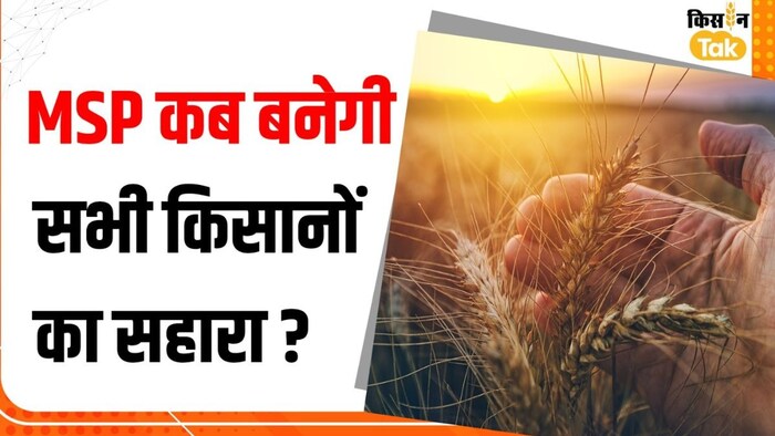 MSP कब बनेगी सभी किसानों का सहारा?