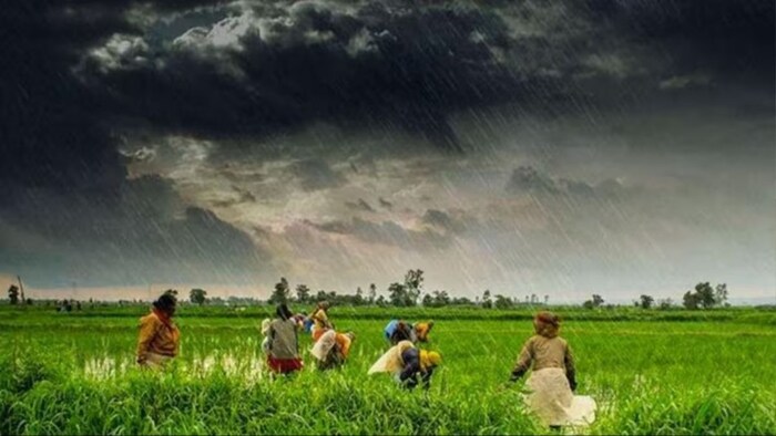 यूपी में कब शुरू होगी जोरदार बारिश. (सांकेतिक फोटो)