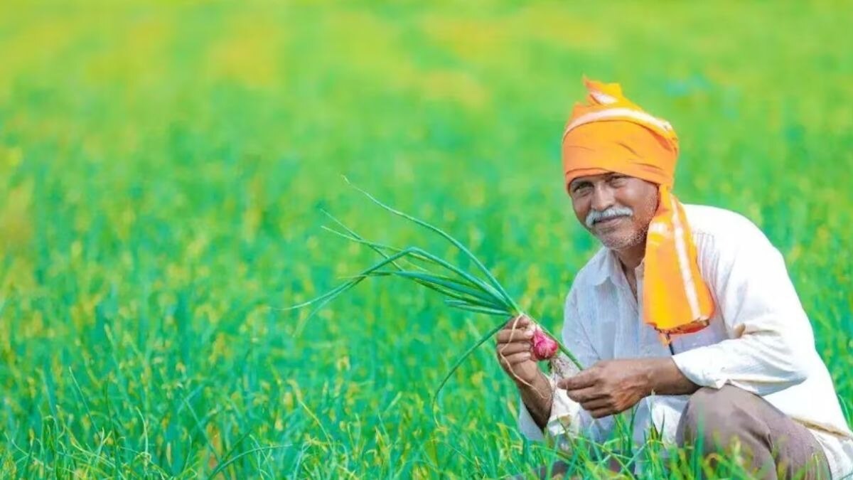 PM Kisan: प्रयागराज के किसानों के खातों में पहुंचे 109 करोड़ रुपये, इतने लाख लाभार्थियों को हुआ फायदा