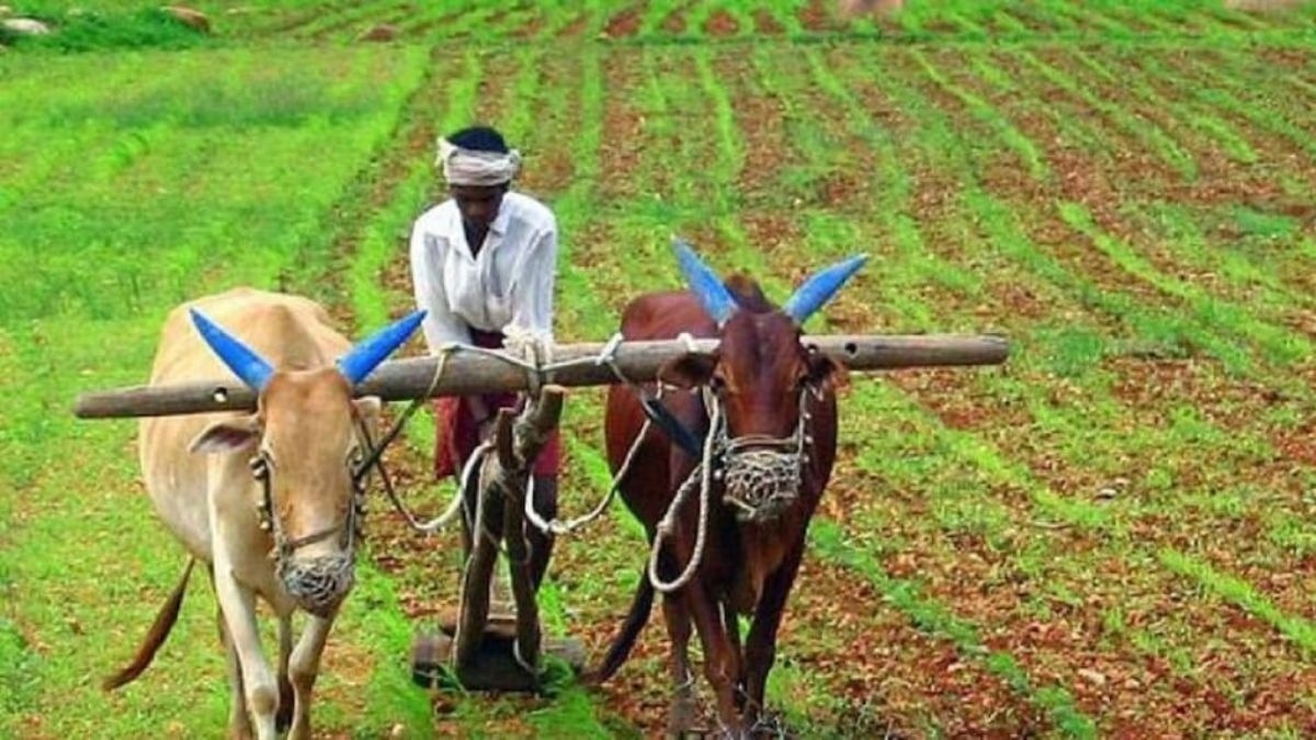 क्या आपको नहीं मिले PM Kisan के 2000 रुपये? अपने मोबाइल से ऐसे दर्ज करें शिकायत