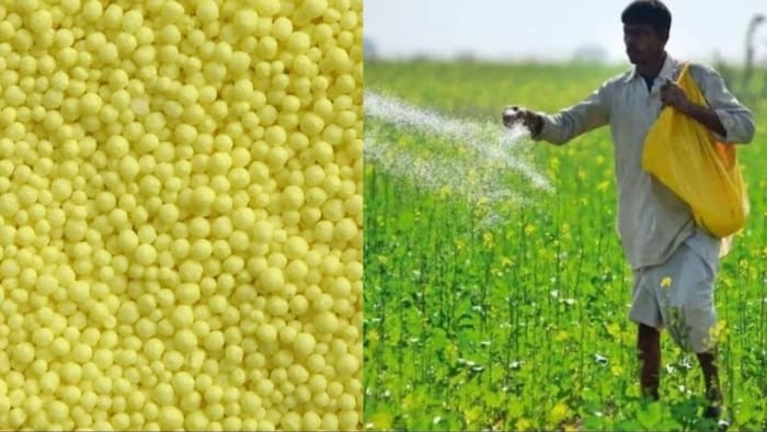 जानिए यूरिया गोल्ड के फायदे के बारे में