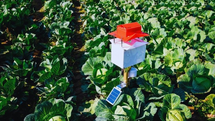 AI-संचालित फेरोमोन ट्रैप