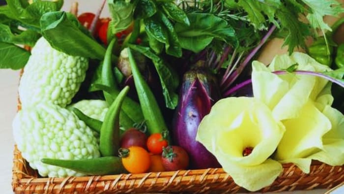 वर्षा उपहार वैरायटी