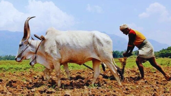 राज्य सरकार ने खोला खजाना