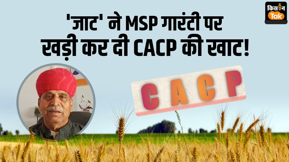 CACP की बैठक में MSP गारंटी कानून पर घमासान! किसान नेता रामपाल जाट ने पुरानी सिफारिशों पर आयोग को घेरा