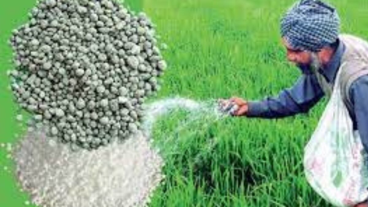 यूपी में कितना बचा है खाद का भंडार. (सांकेतिक फोटो)