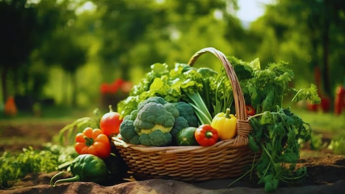 किस सब्जी की वैरायटी है पूसा संतुष्टि