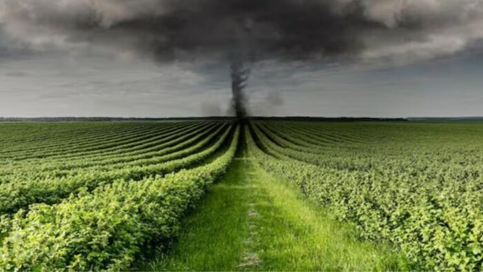 जलवायु स्मार्ट कृषि बढ़ेगी किसानों की आय