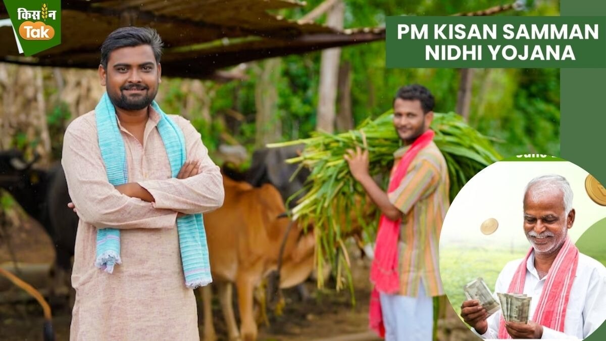 राजस्थान सरकार ने पीएम किसान सम्मान निधि राशि में 2 हजार रुपये सालाना बढ़ाए हैं.