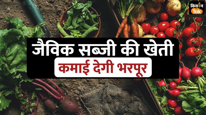 जैविक सब्जी की खेती से कमाई भरपूर