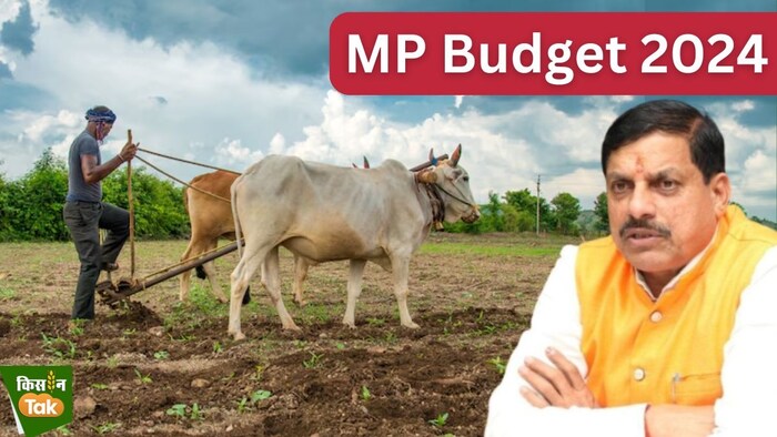 मध्य प्रदेश सरकार ने वित्तीय वर्ष 2024-25 के लिए बजट 16 फीसदी बढ़ाया है.