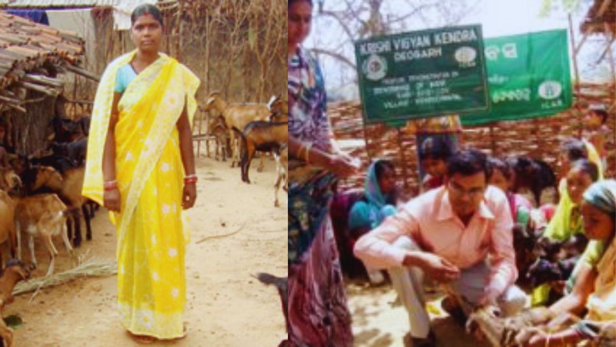 बकरी पालन से 50,000 रुपये कमाती हैं देवगढ़ की सुलोचना, ट्रेनिंग से बढ़ी आमदनी