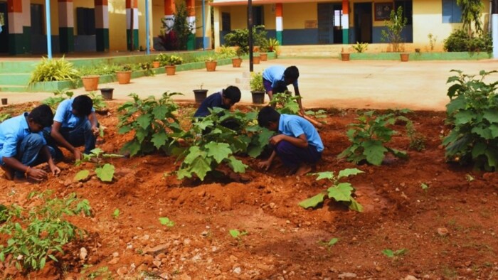 सब्जी उगाने की गुर सिखेंगे स्कूली बच्चे