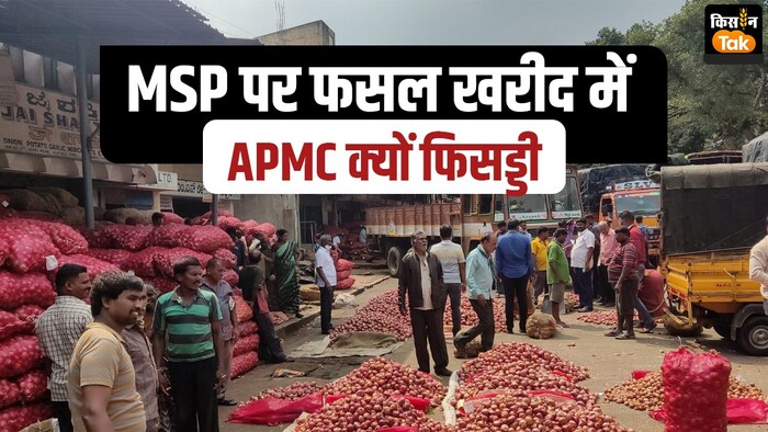 देश में APMC मंडियों का जाल फिर भी क्यों किसानों से MSP पर नहीं होती फसलों की खरीद