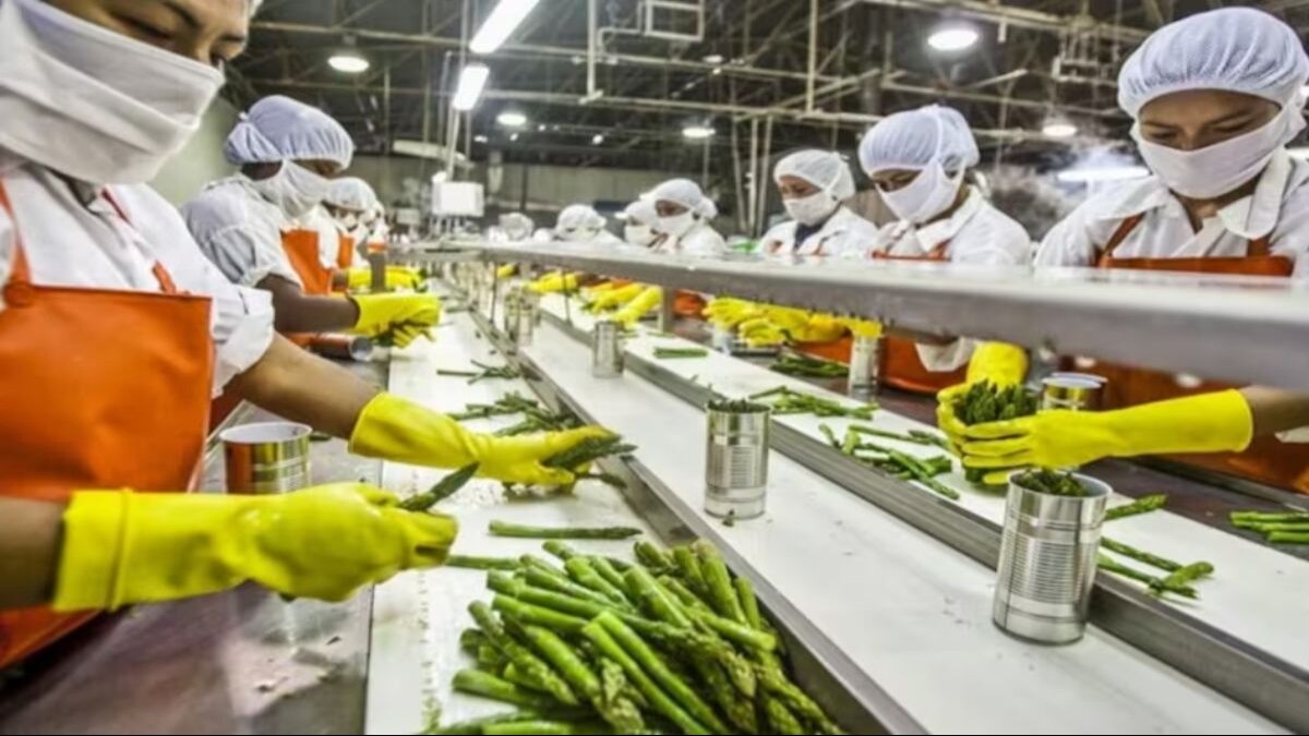 खाद्य प्रसंस्करण योजना के बारे में