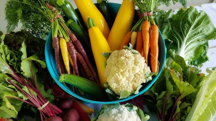 यूपी में एक सब्जी से कैसे किसान हो रहे मालामाल