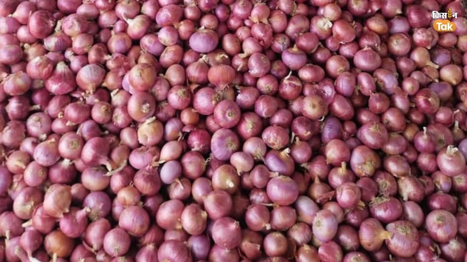 Onion Price: प्याज के दाम में 112 फीसदी का उछाल, क्या किसानों को मिल रहा है फायदा?  Onion Price: प्याज के दाम में 112 फीसदी का उछाल, क्या किसानों को मिल रहा है फायदा?