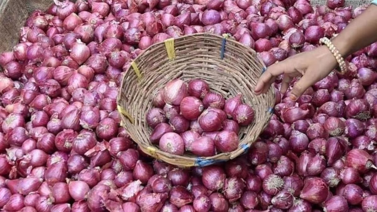 Onion Price Today: फटाफट चेक करें प्याज का मंडी भाव, कहां कितना चल रहा रेट
