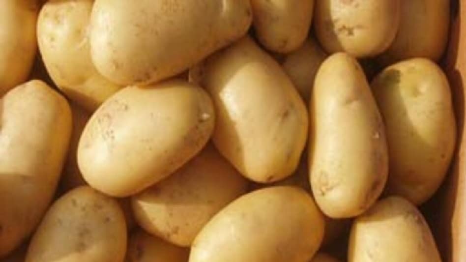 अधिक मांग और बारिश ने आलू की कीमत 7 फीसदी तक बढ़ाई, खरीफ सीजन का रकबा बढ़ा, जानिए कब घटेंगे दाम  अधिक मांग और बारिश ने आलू की कीमत 7 फीसदी तक बढ़ाई, खरीफ सीजन का रकबा बढ़ा, जानिए कब घटेंगे दाम