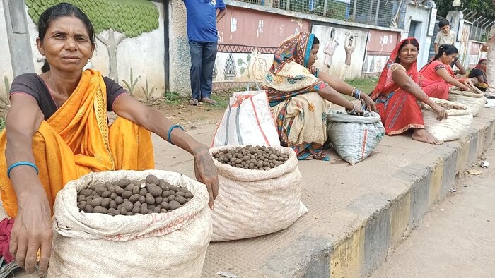 छत्तीसगढ़ के बाजारों में पुटू बेचती महिला