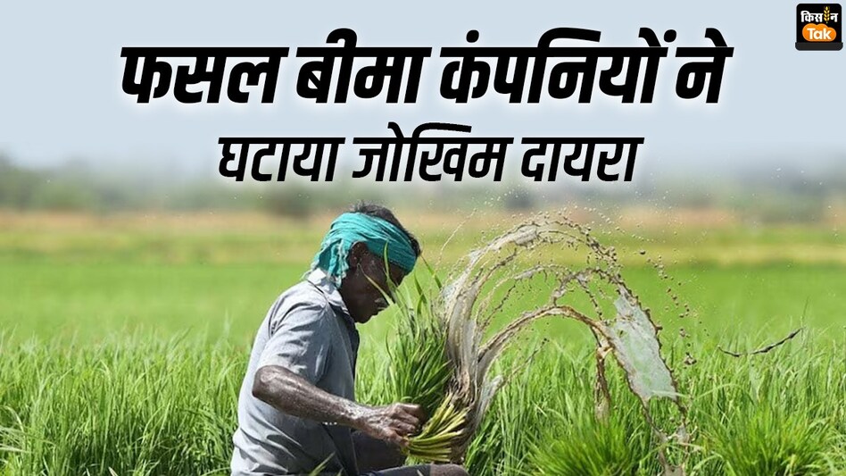 PMFBY: मौसम की मार से फसलें खराब... 4 फसल बीमा कंपनियाें ने घटाया जोखिम दायरा PMFBY: मौसम की मार से फसलें खराब... 4 फसल बीमा कंपनियाें ने घटाया जोखिम दायरा