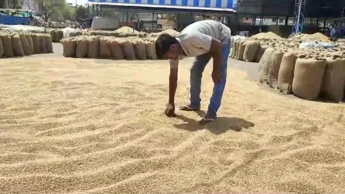 गेहूं का मंडी भाव