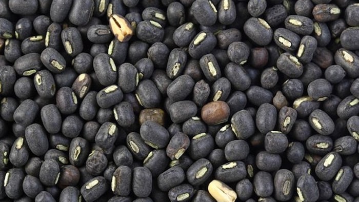 उड़द का बाजार भाव क्या है?