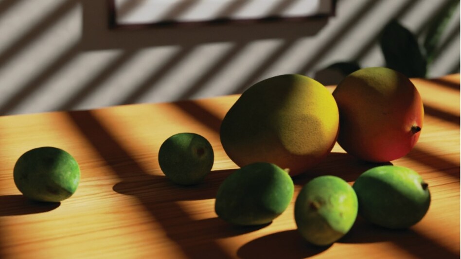 सावधान! कहीं इस जहरीले केमिकल की 'पॉलिश' वाला आम या सेब तो नहीं खा रहे हैं आप?  सावधान! कहीं इस जहरीले केमिकल की 'पॉलिश' वाला आम या सेब तो नहीं खा रहे हैं आप?