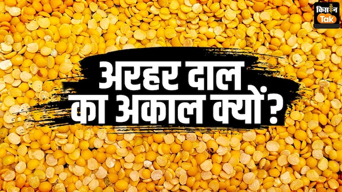 अरहर दाल का उत्पादन क्यों घटा?
