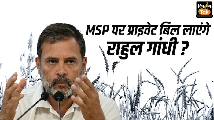 SKM की तैयारी, लोकसभा में MSP गारंटी कानून पर प्राइवेट बिल लाएंगे राहुल गांधी?