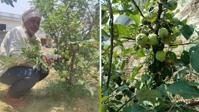 गोरखपुर में उनौला गांव के प्रगतिशील किसान धर्मेंद्र सिंह (फोटो- किसान तक)