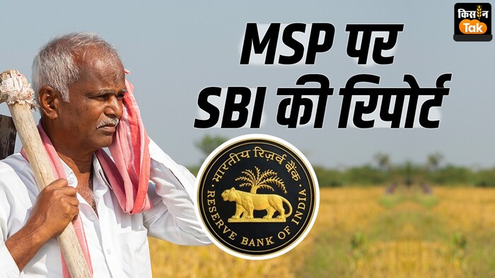 SBI ने अपनी रिपोर्ट MSP गांरटी कानून का क्या दिया विकल्प